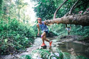 BIB: 
                            <button type="button" onclick="openModal(25431212)" class="btn btn-primary btn-sm float-right btn-popup" data-toggle="modal" data-target=".modal-high-quality">
                        <i class="fas fa-shopping-cart"></i> Add to Cart
                    </button>
                                            <button type="button" onclick="isThisMe(25431212, true)" class="btn btn-success btn-sm float-right btn-popup btn-isme hidden" data-toggle="tooltip" data-placement="bottom" title="นี่คือรูปของคุณใช่ไหม คลิกที่นี่เพื่อเอาเข้าอัลบั้ม">
                        <i class="fas fa-plus"></i> Add to album
                    </button>
                    <button type="button" onclick="isThisMe(25431212, false)" class="btn btn-warning btn-sm float-right btn-popup btn-isnotme hidden">
                        <i class="fas fa-ban"></i> Remove from album
                    </button>